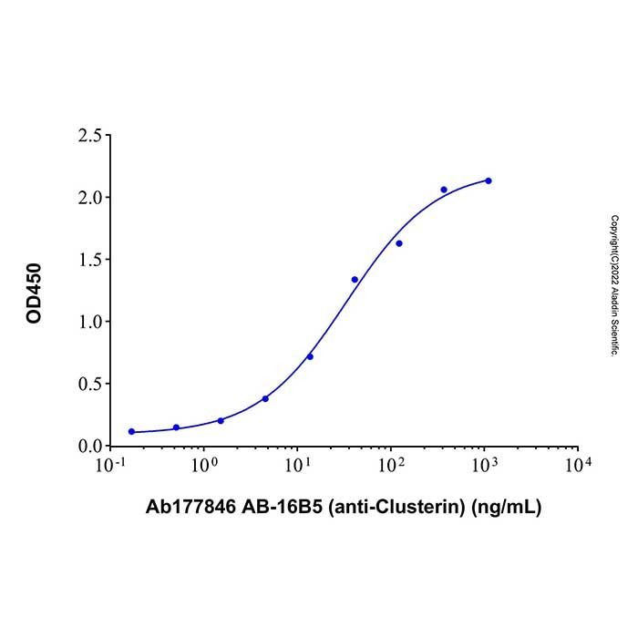 AB-16B5 (anti-Clusterin), 集束蛋白抗体