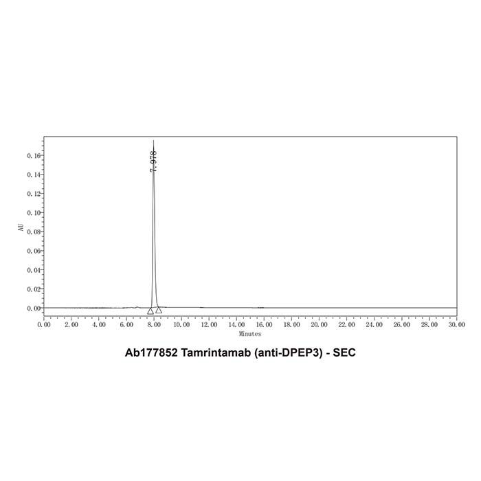 Tamrintamab (anti-DPEP3)