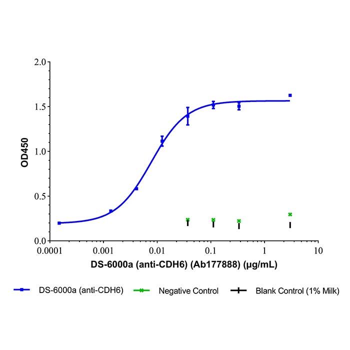 DS-6000a (anti-CDH6)