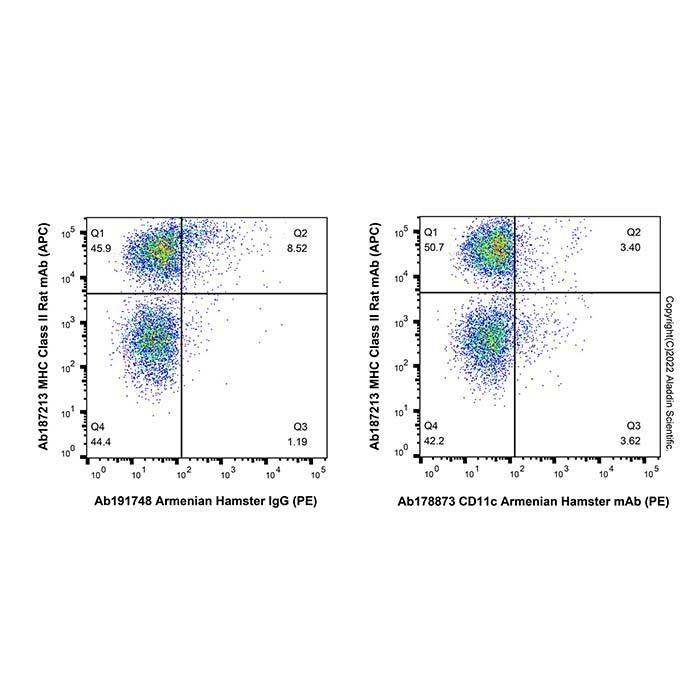 CD11c Armenian Hamster mAb (PE)