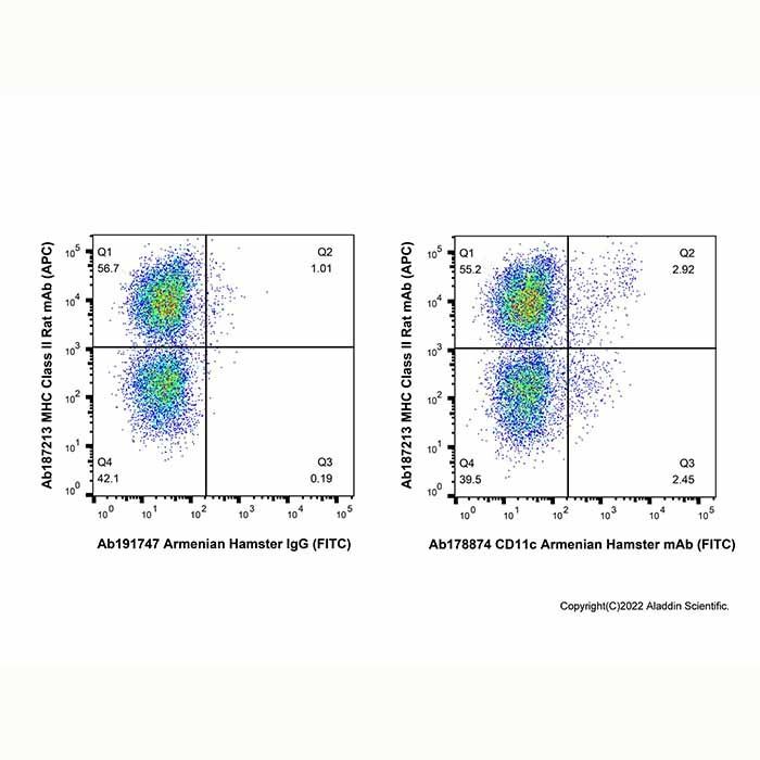 CD11c Armenian Hamster mAb (FITC)
