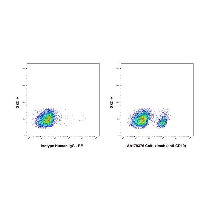 Coltuximab (anti-CD19)
