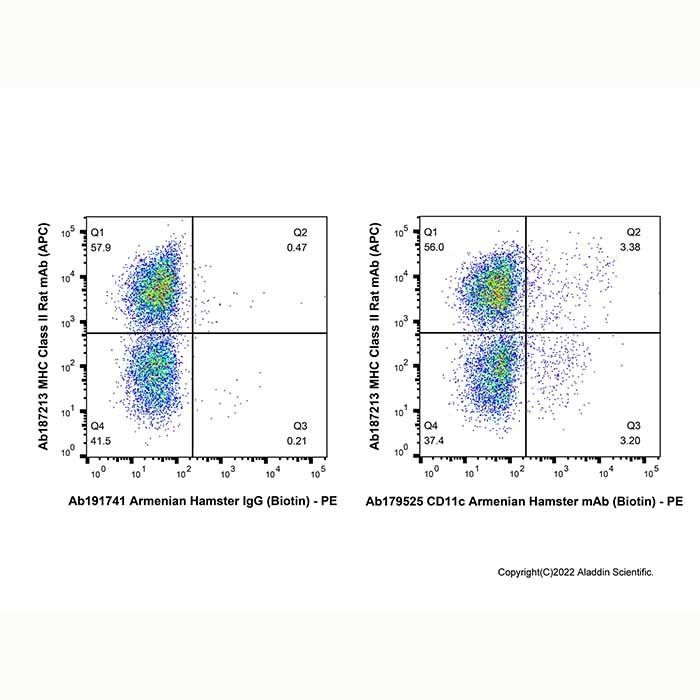 CD11c Armenian Hamster mAb (Biotin)