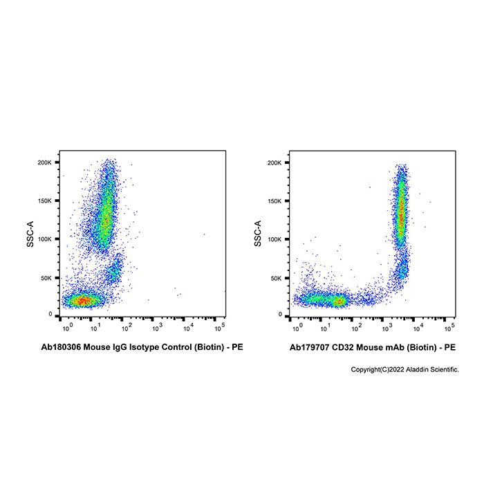 CD32 Mouse mAb (Biotin)