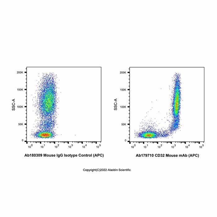 CD32 Mouse mAb (APC)