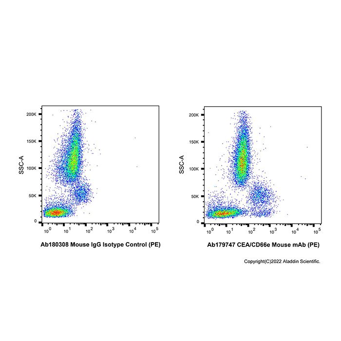 CEA/CD66e Mouse mAb (PE)