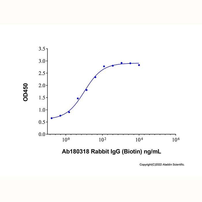 Rabbit IgG (Biotin)