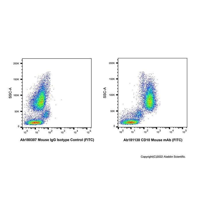 CD10 Mouse mAb (FITC)