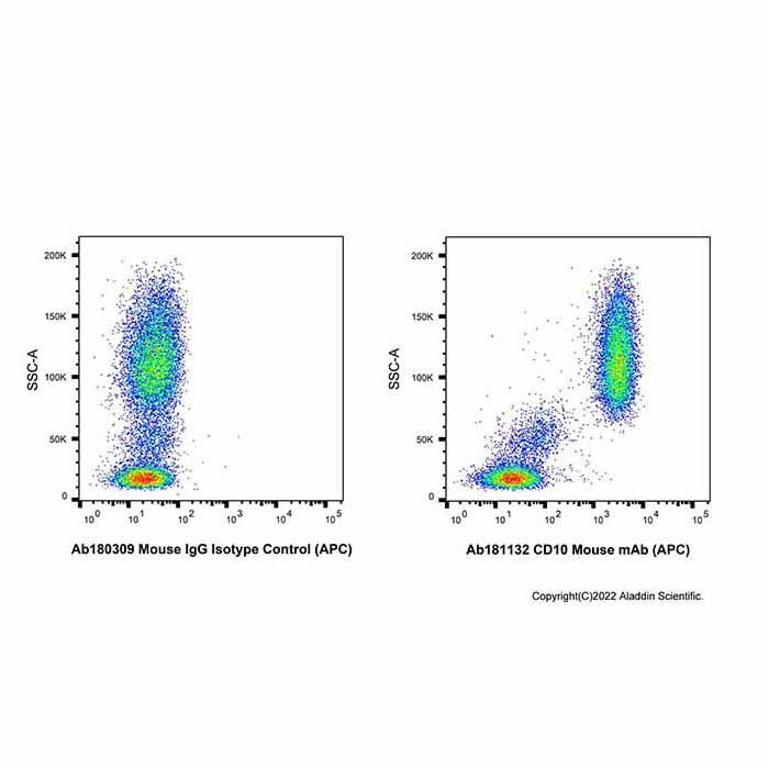 CD10 Mouse mAb (APC)
