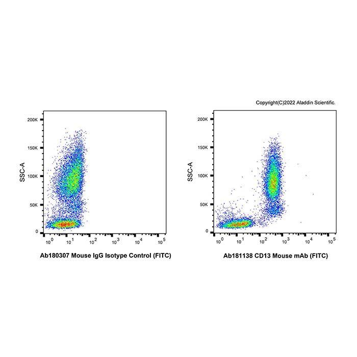 CD13 Mouse mAb (FITC)