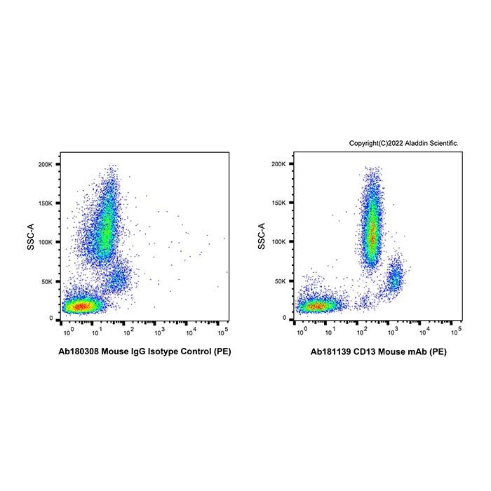 CD13 Mouse mAb (PE)