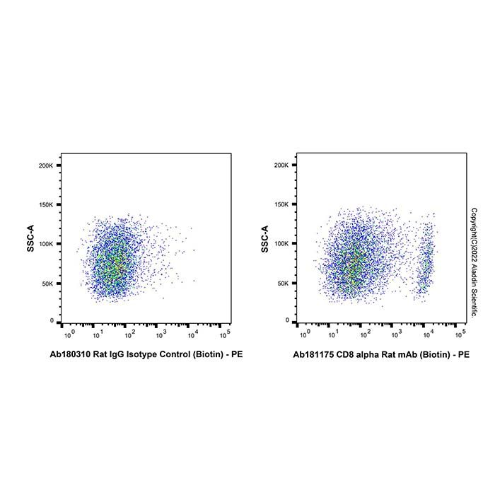 CD8 alpha Rat mAb (Biotin)