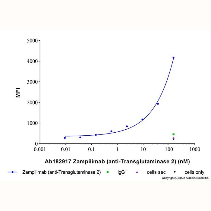 Zampilimab (anti-Transglutaminase 2)