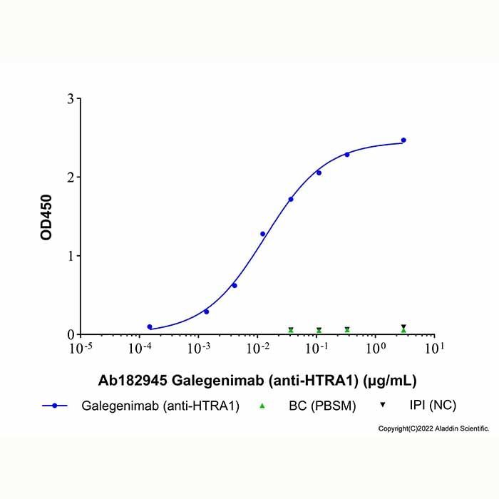 Galegenimab (anti-HTRA1)