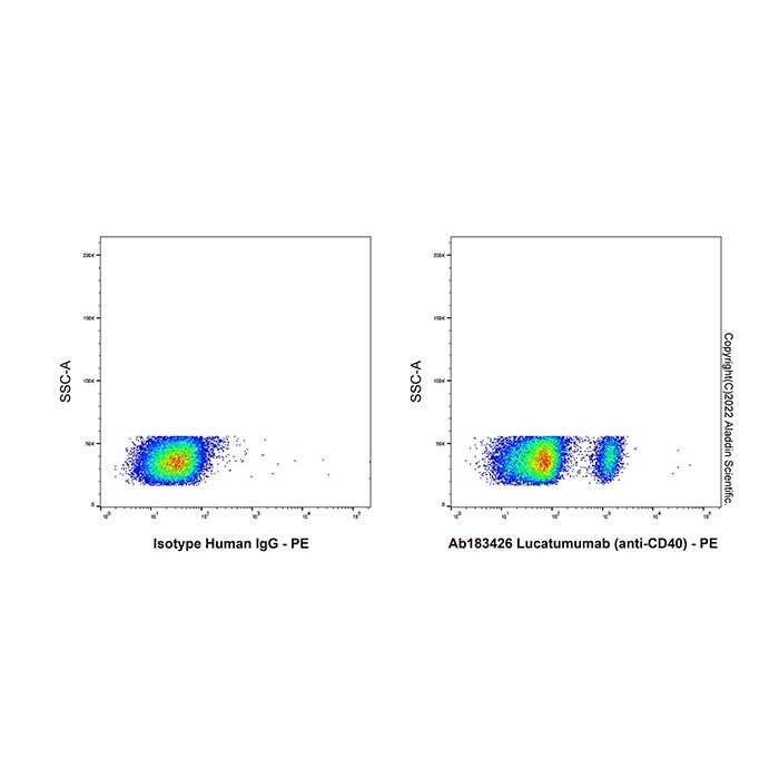 Lucatumumab (anti-CD40), 肿瘤坏死因子受体超家族成员 5 拮抗剂