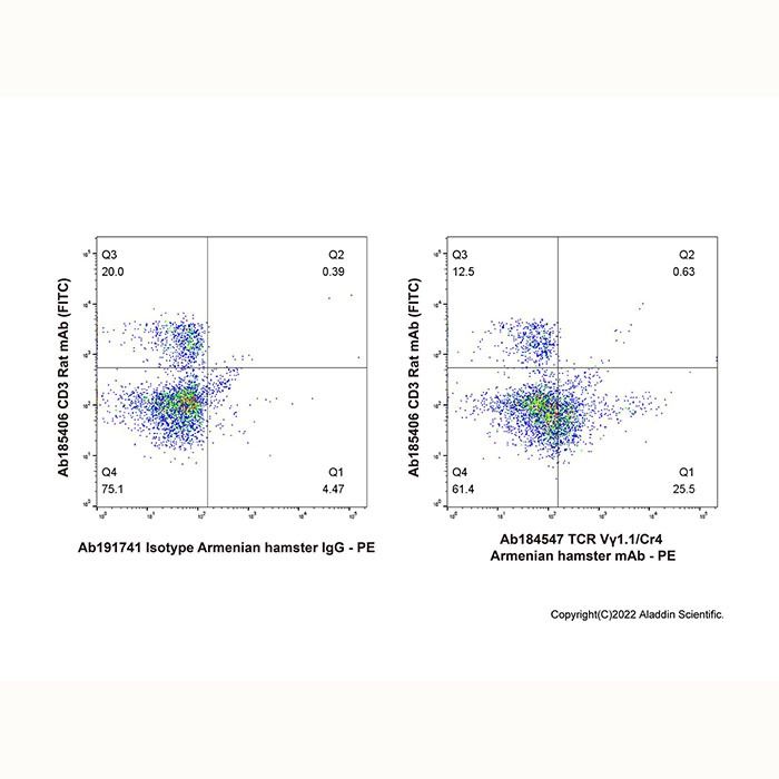 TCR Vγ1.1/Cr4 Armenian hamster mAb