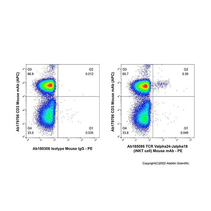 TCR Valpha24-Jalpha18 (iNKT cell) Mouse mAb