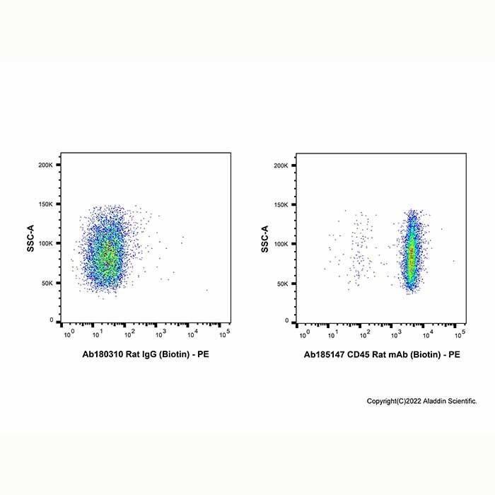CD45 Rat mAb (Biotin)