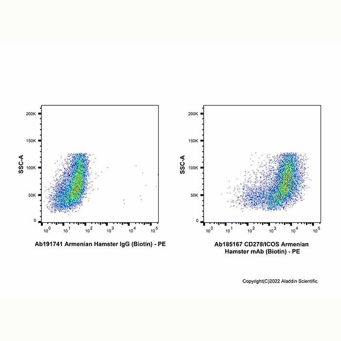 CD278/ICOS Armenian Hamster mAb (Biotin)
