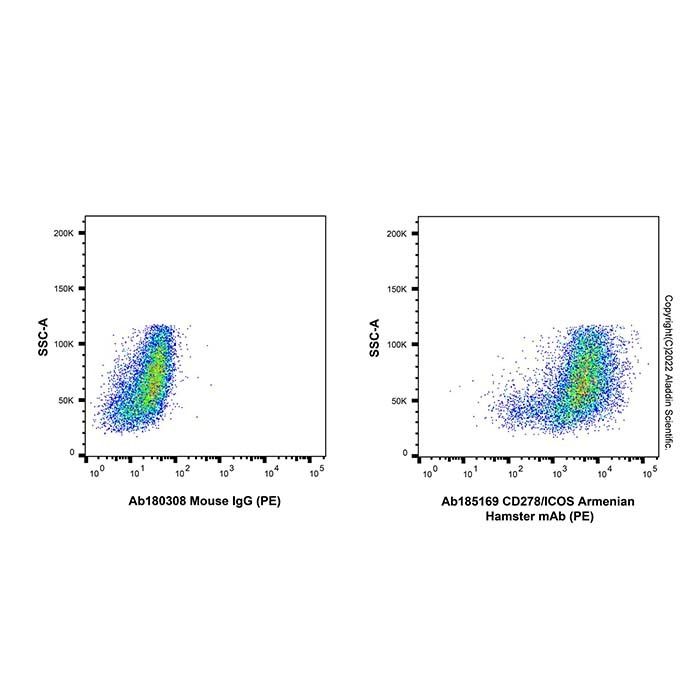 CD278/ICOS Armenian Hamster mAb (PE)