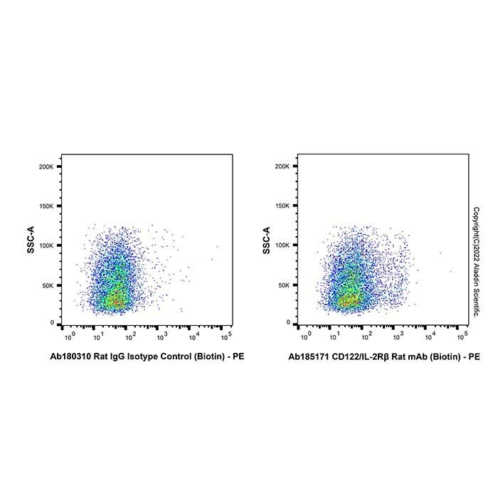 CD122/IL-2Rβ Rat mAb (Biotin)