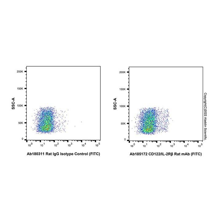 CD122/IL-2Rβ Rat mAb (FITC)