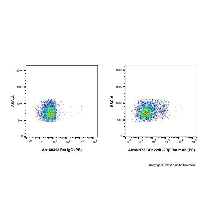 CD122/IL-2Rβ Rat mAb (PE)