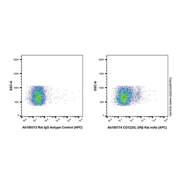 CD122/IL-2Rβ Rat mAb (APC)