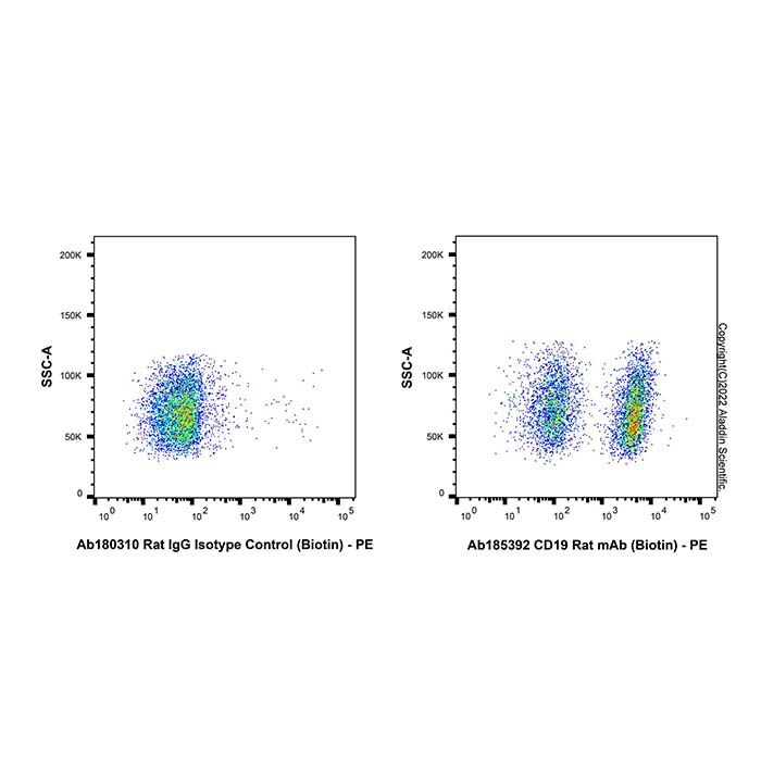 CD19 Rat mAb(Biotin)