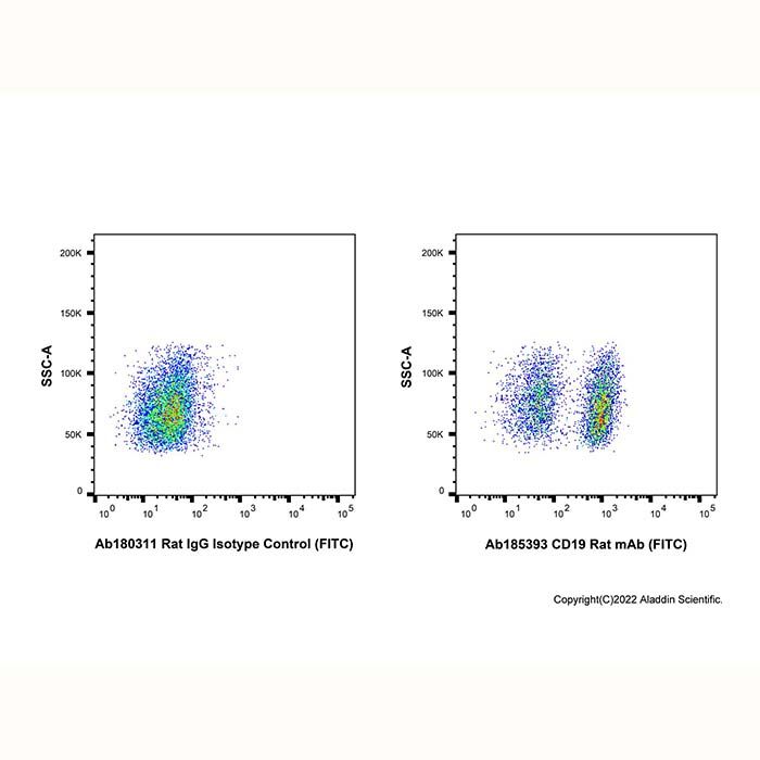 CD19 Rat mAb (FITC)