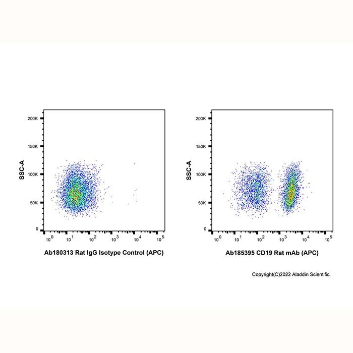CD19 Rat mAb (APC)