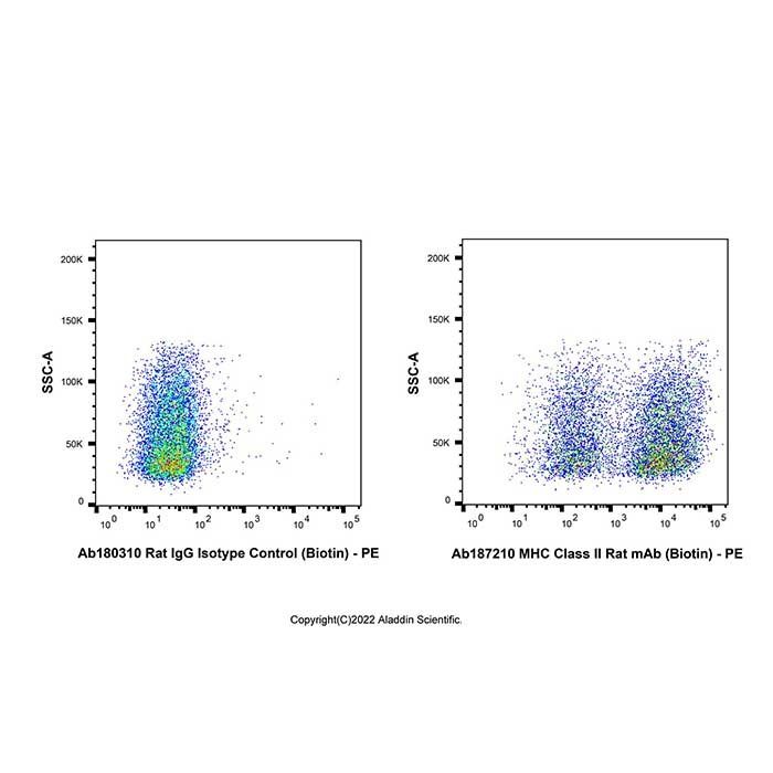 MHC Class II Rat mAb (Biotin)