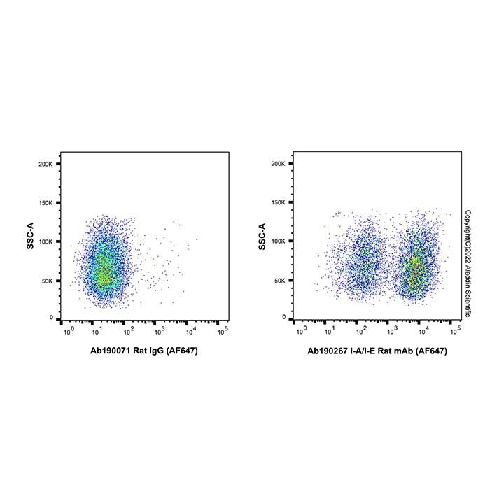 Rat IgG (AF647)