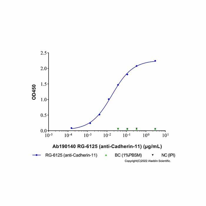 RG-6125 (anti-Cadherin-11)
