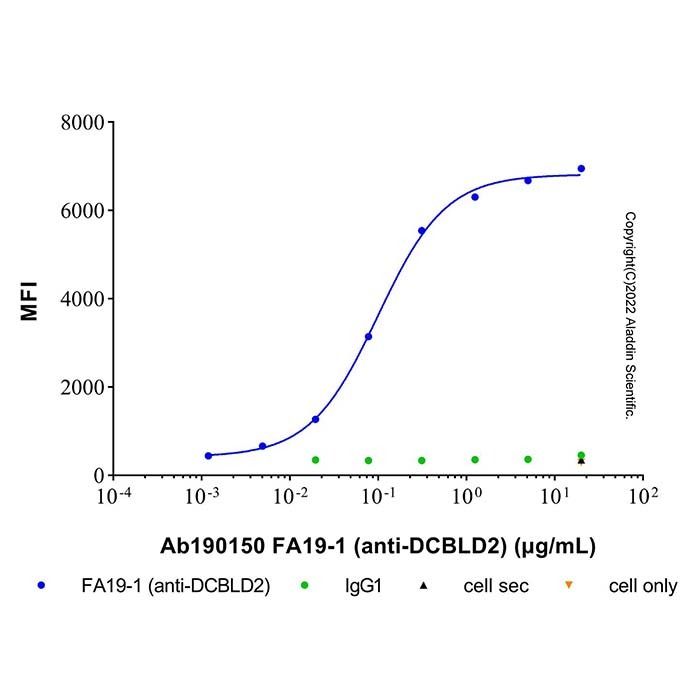FA19-1 (anti-DCBLD2)