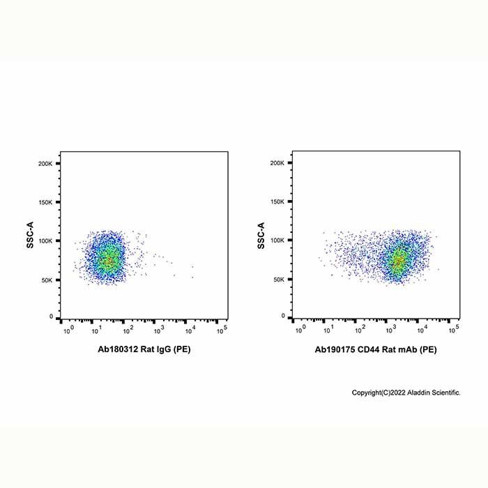 CD44 Rat mAb (PE)