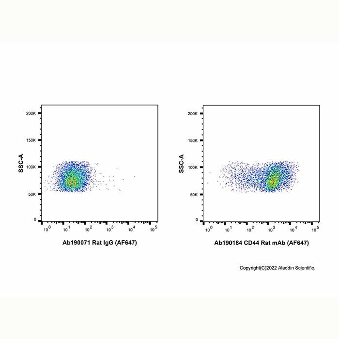 CD44 Rat mAb (AF647)