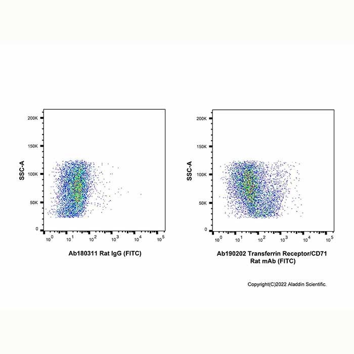 Transferrin Receptor/CD71 Rat mAb (FITC)