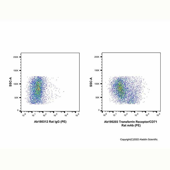 Transferrin Receptor/CD71 Rat mAb (PE)