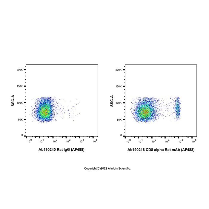 CD8 alpha Rat mAb (AF488)