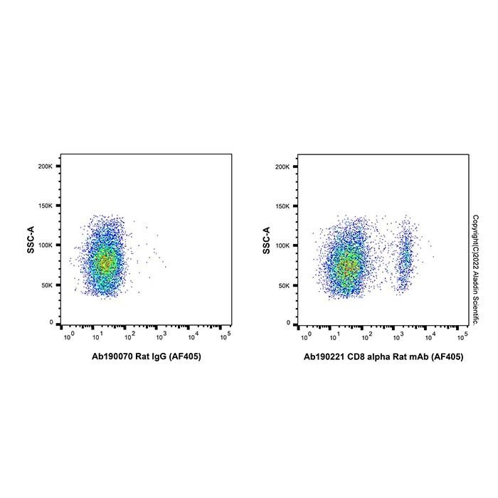 CD8 alpha Rat mAb (AF405)