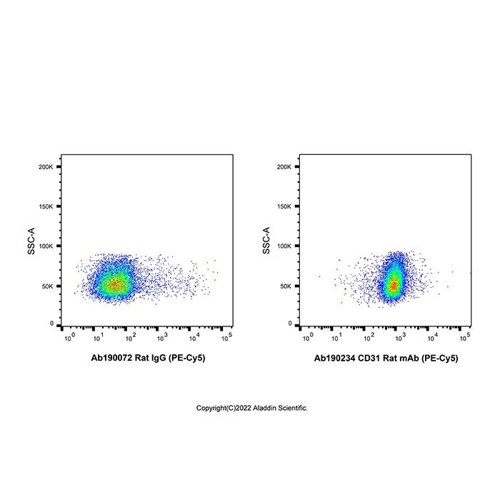 CD31 Rat mAb (PE-Cy5)