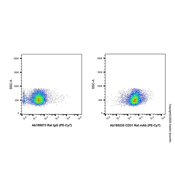 CD31 Rat mAb (PE-Cy7)
