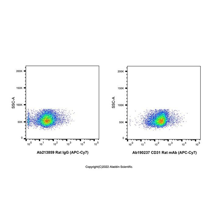 CD31 Rat mAb (APC-Cy7)