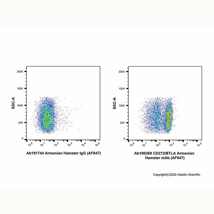 CD272/BTLA Armenian Hamster mAb (AF647)