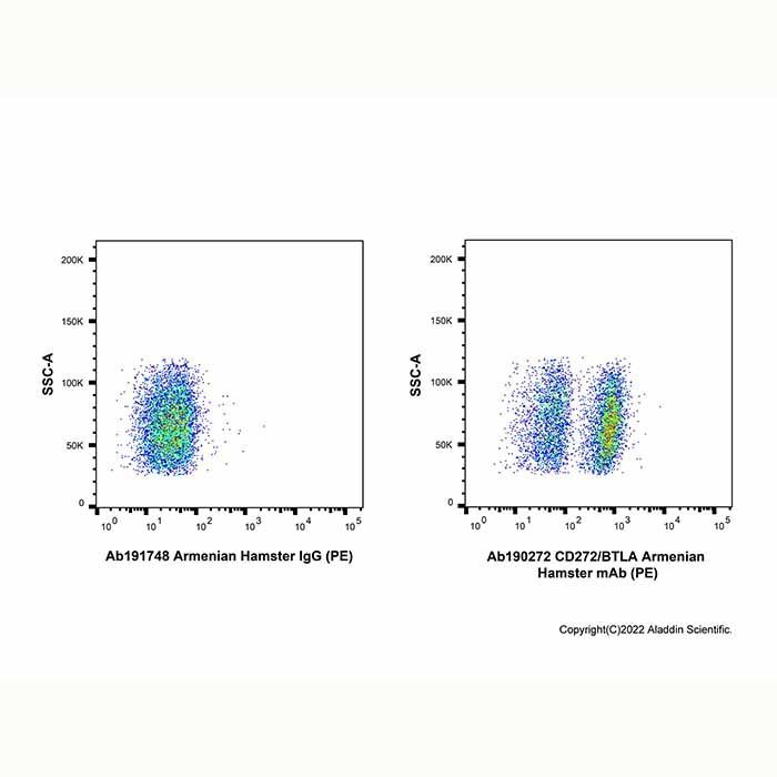 CD272/BTLA Armenian Hamster mAb (PE)