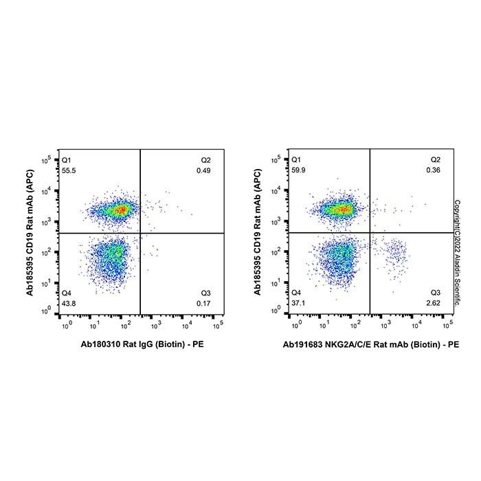 NKG2A/C/E Rat mAb (Biotin)