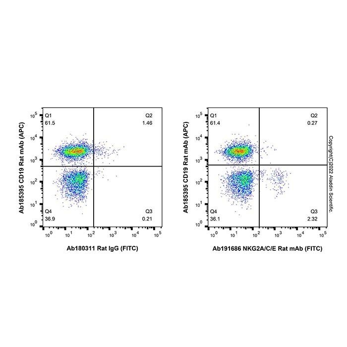 NKG2A/C/E Rat mAb (FITC)