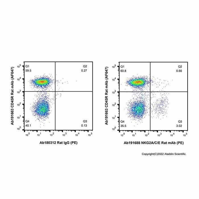 NKG2A/C/E Rat mAb (PE)