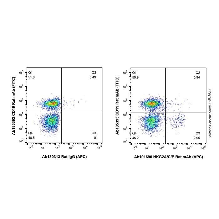 NKG2A/C/E Rat mAb (APC)